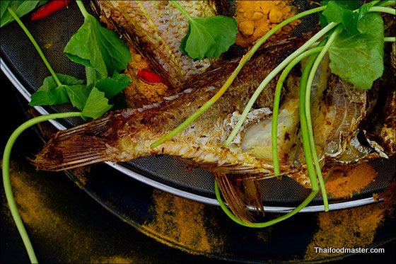 Thai Fried Fish Recipe: Southern Thai Style Deep Fried Fish with Fresh Turmeric