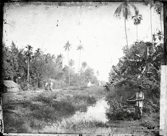 Near Bangkok, Siam, c1866