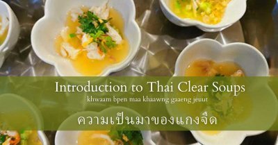 Introduction to Thai Clear Soups