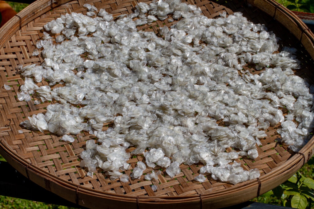 How to prepare dried fish scales (เกล็ดปลาแห้ง) Thaifoodmaster