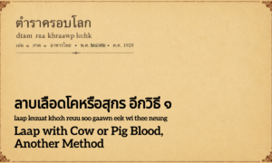 Laap with Cow or Pig Blood, Another Method (ลาบเลือดโคหรือสุกร อีกวิธี ๑; laap leuuat kho:h reuu soo gaawn eek wi thee neung)