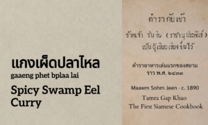 Spicy Swamp Eel Curry (แกงเผ็ดปลาไหล; gaaeng phet bplaa lai)