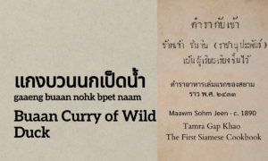 Buaan Curry of Wild Duck (แกงบวนนกเป็ดน้ำ; gaaeng buaan nohk bpet naam)