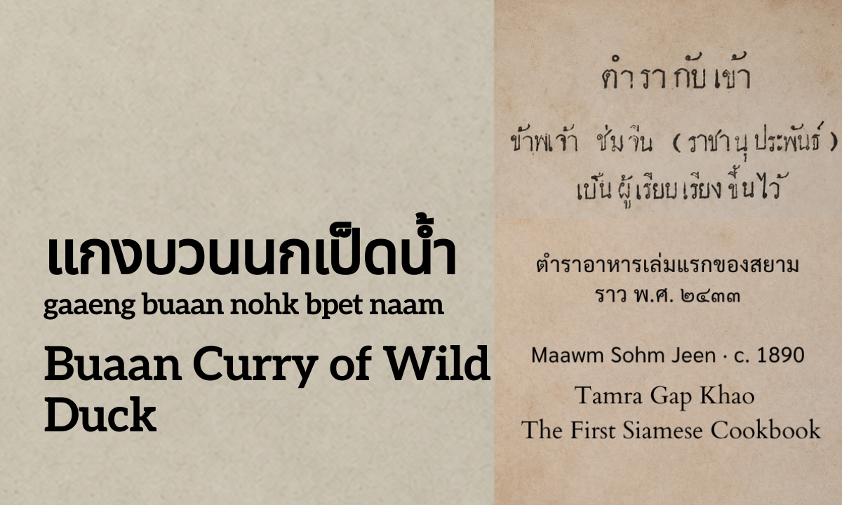 Buaan Curry of Wild Duck (แกงบวนนกเป็ดน้ำ; gaaeng buaan nohk bpet naam)