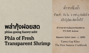 Phla of Fresh Transparent Shrimp (พล่ากุ้งฝอยสด; phlaa goong faawy soht)