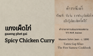 Spicy Chicken Curry (แกงเผ็ดไก่; gaaeng phet gai)
