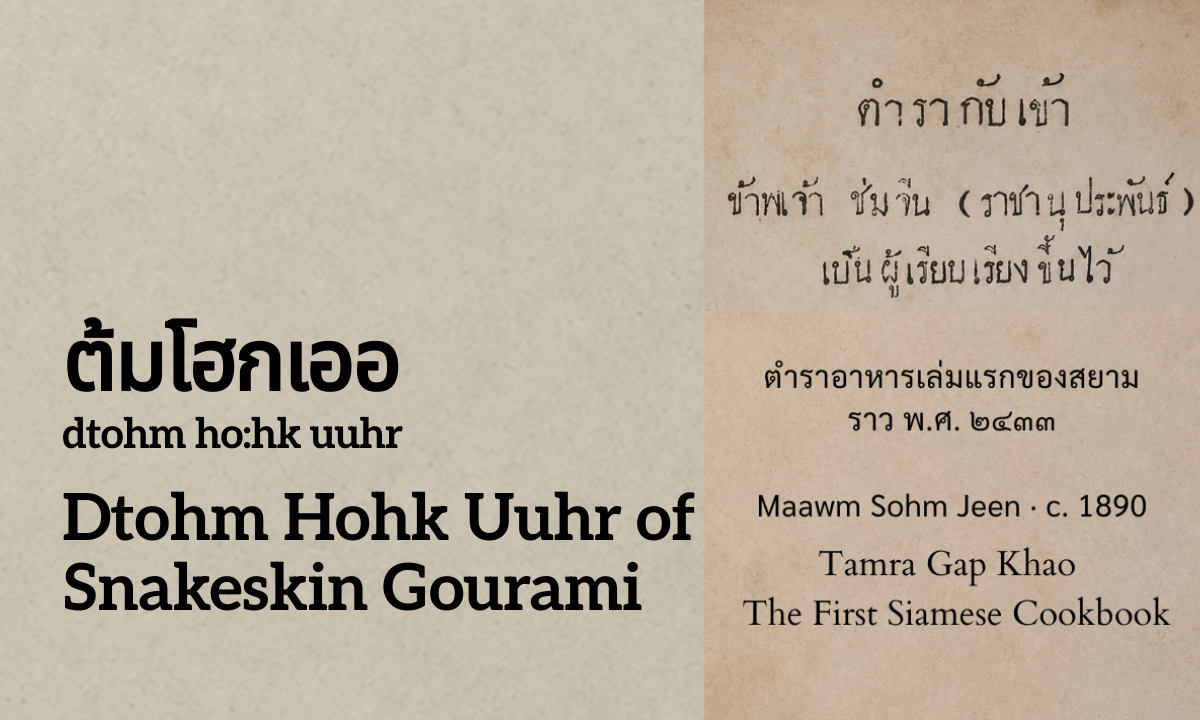Dtohm Hohk Uuhr of Snakeskin Gourami (ต้มโฮกเออ; dtohm ho:hk uuhr)