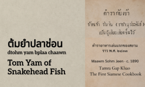 Tom Yam of Snakehead Fish (ต้มยำปลาช่อน; dtohm yam bplaa chaawn)
