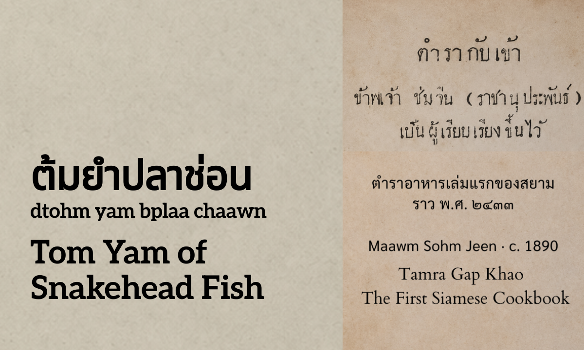 Tom Yam of Snakehead Fish (ต้มยำปลาช่อน; dtohm yam bplaa chaawn)