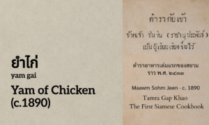 Yam of Chicken (ยำไก่; yam gai)